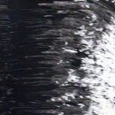 Zuii Organic Mascara Volume 301 Granite