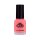 LCN Nail Polish 8ml -393 coralicious