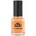 LCN Nail Polish 8ml -648 picture perfect